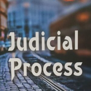 ALP's Judicial Process